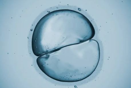 Do cells change after drinking structured water?